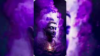 🍁🍁Purple Buddha Images 🍁🍁 Buddham Saranam Gacchami  Buddha  Meditation [upl. by Eelrahc360]