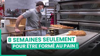 Pain  la guerre des boulangeries low cost  750GTV [upl. by Ott]