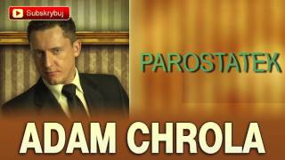 Parostatek  Adam Chrola Cover [upl. by Weaver]