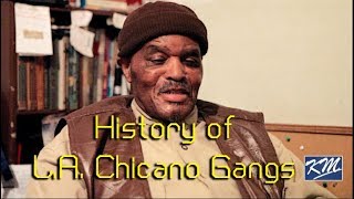 Bird Edumocation Brief History of LA Chicano Gangs [upl. by Tram]