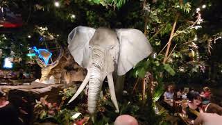 rainforest cafe elephants trumpeting [upl. by Nealy]