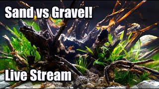 LIVE Lets Settle This Sand vs Gravel Plus a Fish QampA [upl. by Naened56]