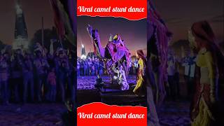 Viral camel dance performance ll Rajasthani dance performance cameldance camel dj [upl. by Goodden]