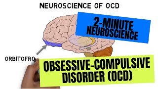 2Minute Neuroscience ObsessiveCompulsive Disorder OCD [upl. by Balliol742]