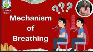 mechanism of breathing Life process Chapter6 Ncert Science for 10th class [upl. by Dnalloh]