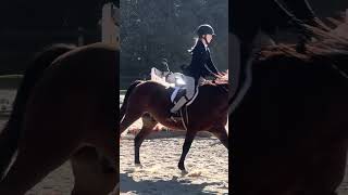 2024 Belfair Schooling Show Avery DuBois [upl. by Llig]