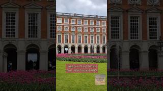 A Day in Hampton Court Palace feat Tulip Festival 2024 🌷 shorts London UnitedKingdom [upl. by Ashla]