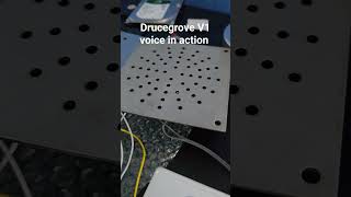 Drucegrove V1lift elevator voice in action [upl. by Pearline]