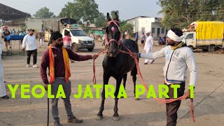 Yeola market 2021  horse fair 2021  Yeola jatra  saste ghodo ka bazar  poni horses  baby horses [upl. by Pet]