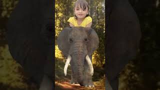 English cartoon songs kids cartoons elephants [upl. by Godwin]