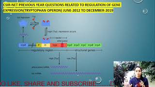 CSIR NET PREVIOUS YEAR QUESTIONS RELATED TO TRYPTOPHAN OPERON FROM 2012 TO DEC 2019 LIFE SCIENCES [upl. by Hessney293]