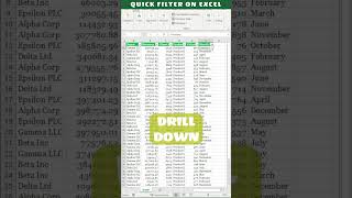 Quick Excel Filter Shortcut [upl. by Sayed]