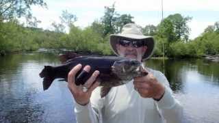 Hayward Fly Fishing Company 2013 Season Underway  Fly Fishing Northern Wisconsins Rivers [upl. by Eudora964]