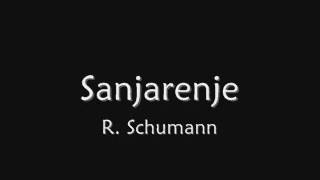 R Schumann Sanjarenje [upl. by Toll]