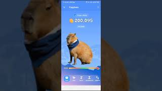 Capybara telegram Airdrop based on Sui chain [upl. by Sirret]