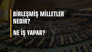 Birleşmiş Milletler Nedir Ne iş Yapar [upl. by Ardnuhsal]