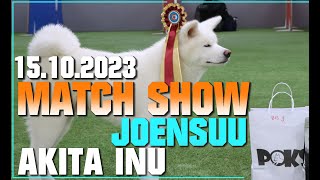 Akita Inu  Match Show Joensuu 15102023 [upl. by Ebony]