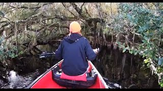 Canoeing the Withlacoochee River to Ancient Florida Indian Mounds Part One [upl. by Thgiled]