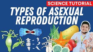 TYPES OF ASEXUAL REPRODUCTION  SCIENCE 7 QUARTER 2 WEEK 5 [upl. by Yenor]