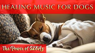 Healing Music for Dogs 🐶 528Hz Frequency [upl. by Pentheam425]