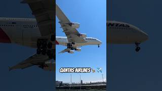 Qantas Airlines at LAX 🦘✈️ [upl. by Tiat]