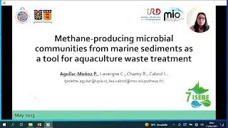 AGUILAR Polette Methane producing microbial communities from marine sediments as a tool for [upl. by Nyliuqcaj371]