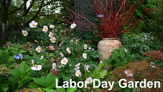 Labor Day Garden [upl. by Ear]