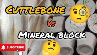 CUTTLEBONE VS MINERAL BLOCK SINO ANG PINAKA THE BEST SOURCE IF CALCIUM FOR BIRDS🤔🤔cuttlebone [upl. by Silra]