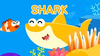 Hide and Seek🦈  Learn Numbers and Words with Sea Animals  Kids Play ★ TidiKids [upl. by Llerut]