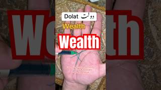 Wealth Richpalmistry palmist palmistryreading palm wealth [upl. by Dionis]