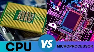 CPU vs Microprocessor What are the main Differences [upl. by Golub906]