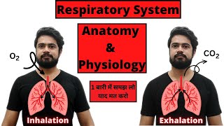 Respiratory system anatomy and physiology  Structure  Organs  Functions  Hindi [upl. by Glialentn]