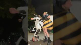 noi che ci dirigiamo alla cena a tema animalier 🐄🐝  TT LE GIRLZ [upl. by Publea]