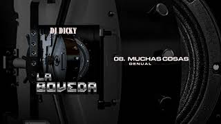 DJ Dicky Denual  Muchas Cosas  La Boveda [upl. by O'Donovan]