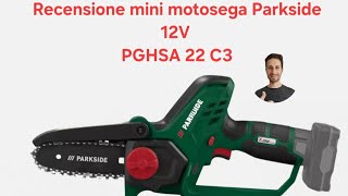 Mini motosega Parkside a batteria 12V modello PGHSA C3 [upl. by Rosati123]