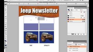InDesign Tint and Opacity Tutorial  PGprintcom [upl. by Aihsenek]