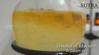 Purification of essential oils part 1 [upl. by Dnamra74]