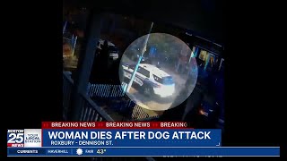 1 person dies from injuries after dog attacks its owners officers in Boston police say [upl. by Ahsinnek]