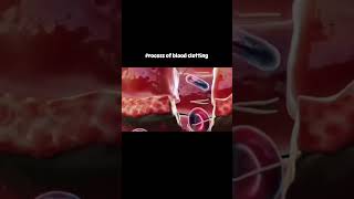 Blood clotting होने की प्रक्रिया।शरीर को चोट लगने के बाद blood clot कैसे बनता हैं clotting shorts [upl. by Theodora]