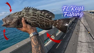 Florida Keys Bridge Fishing [upl. by Kellina]