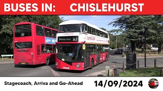 London buses in Chislehurst 14092024 [upl. by Resiak]