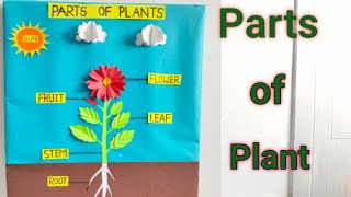 Parts of PlantsPlants of Plants 3D modelParts of plant model for science projectParts of plant [upl. by Bigelow]