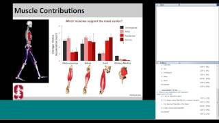 Using OpenSim to explore the mechanics of pathological gait patterns [upl. by Ajani]