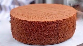 2 Egg Chocolate Sponge Cake Recipe in Bangla  ২ ডিমের চকোলেট কেক [upl. by Mcculloch756]