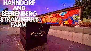 EPISODE 41 HAHNDORF  BEERENBERG STRAWBERRY FARM  DISCOVERY PARKS  AUTUMN [upl. by Amlet]