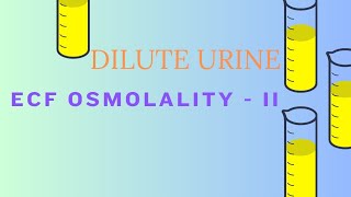 ECF OSMOLALITY II Dilute Urine [upl. by Kate]