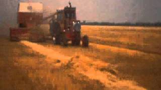 IH 914 pull type combine [upl. by Artenehs]