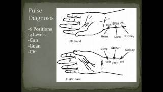 Pulse Diagnosis Overview  Diagnostic Methods in Chinese Medicine [upl. by Yhtimit]