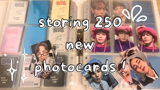 a very belated storing video ⟡ storing photocards 7 feat shinee cravity ateez and more [upl. by Eresed]