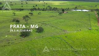 Fazenda a Venda em Prata  MG  Triangulo Mineiro  Minas Gerais [upl. by Nanji]